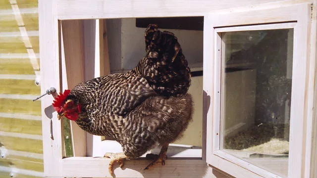 Woher das Geld kommt …