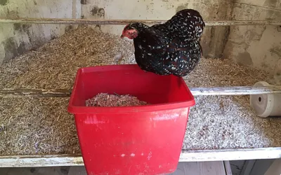 ohne sie wird nicht gemistet