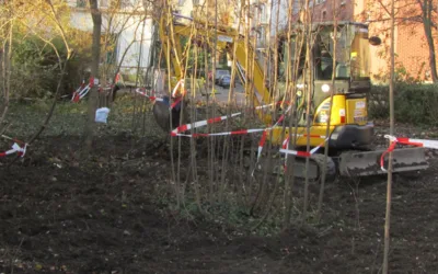 Baufreigabe und Rodung am neuen Standort
