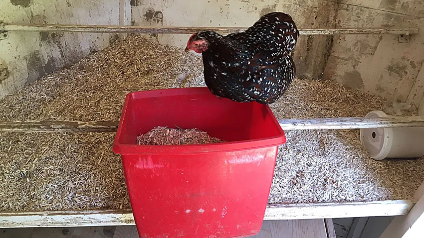 ohne sie wird nicht gemistet